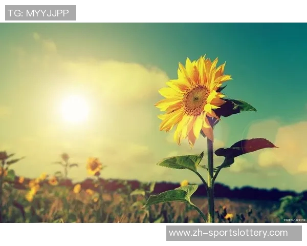 足球正太的青春梦想与成长之路:从草根到职业的奋斗故事 足球正太的青春梦想与成长之路:从草根到职业的奋斗故事